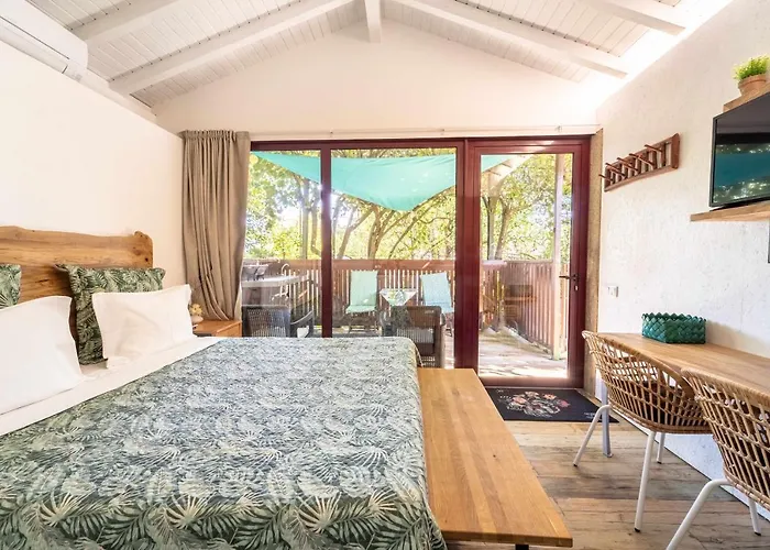 Casas Casal Do Carvalhal - *